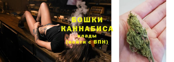 шишки Каменногорск