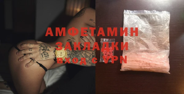 шишки Каменногорск
