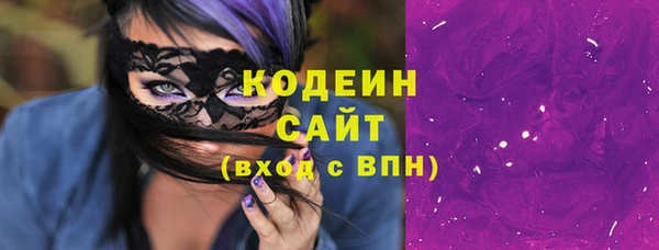 шишки Каменногорск