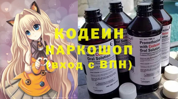 шишки Каменногорск