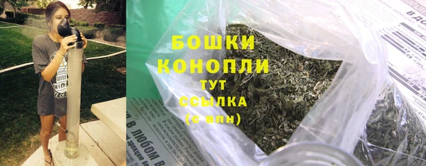 шишки Каменногорск